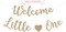 Pre-strung Welcome Little One Banner - No DIY - Gold Glitter Baby Shower Gender Reveal Party Banner in Script - Pre-strung Garland on 6 ft Strand - Neutral Decorations & Decor. Did We Mention No DIY